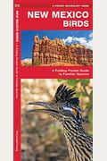 New Mexico Birds: A Folding Pocket Guide To Familiar Species