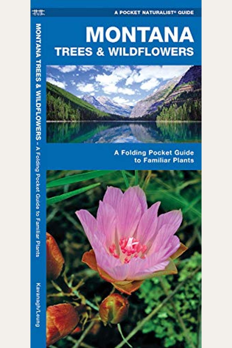 Buy Montana Trees &amp; Wildflowers: A Folding Pocket Guide To Familiar ...