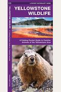 Yellowstone Wildlife: A Folding Pocket Guide To Familiar Animals Of The Yellowstone Area