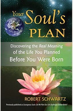 Your Soul's Plan: Discovering the Real Meaning of the Life You Planned Before You Were Born