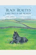 Black Beauty's Early Days In The Meadow