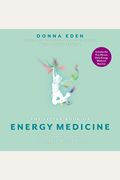 The Little Book Of Energy Medicine