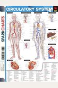 Circulatory System (SparkCharts)