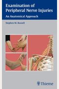 Examination Of Peripheral Nerve Injuries: An Anatomical Approach