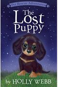 The Lost Puppy