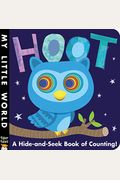 Hoot: A Hide-And-Seek Book Of Counting!
