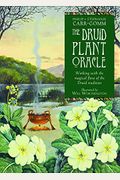 The Druid Plant Oracle: Working With The Magical Flora Of The Druid Tradition (36 Cards And 144 Page Guidebook) [With Booklet]