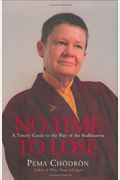 No Time to Lose: A Timely Guide to the Way of the Bodhisattva