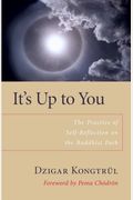 It's Up To You: The Practice Of Self-Reflection On The Buddhist Path