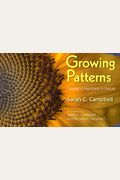 Growing Patterns: Fibonacci Numbers In Nature