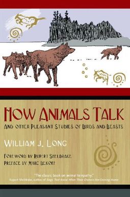 How Animals Talk: And Other Pleasant Studies Of Birds And Beasts How Animals Talk: And Other Pleasant Studies Of Birds And Beasts