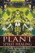 Plant Spirit Healing: A Guide To Working With Plant Consciousness