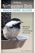 Northeastern Birds: Backyard Guide - Watching - Feeding - Landscaping - Nurturing - New York, Rhode Island, Connecticut, Massachusetts, Ve