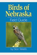 Birds Of Nebraska Field Guide