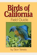 Birds Of California Field Guide