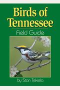 Birds Of Tennessee Field Guide