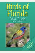 Birds Of Florida Field Guide