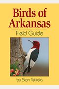 Birds Of Arkansas Field Guide