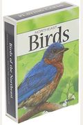 Birds Of The Northeast Playing Cards