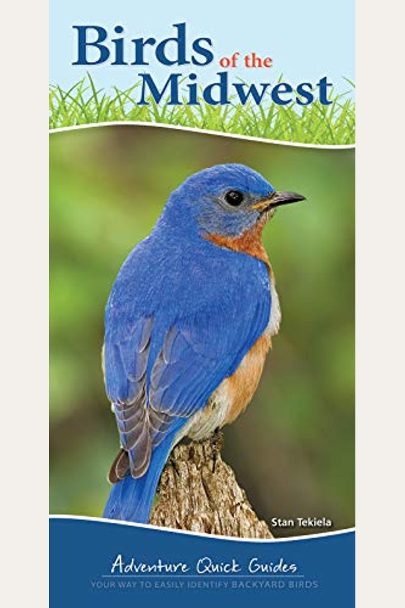 Buy Birds Of The Midwest Identify Backyard Birds With Ease Book By