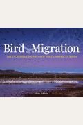 Bird Migration: The Incredible Journeys Of North American Birds