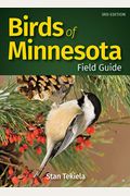 Birds Of Minnesota Field Guide