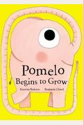 Pomelo Begins To Grow