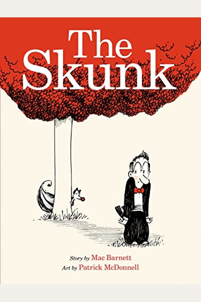 The Skunk: A Picture Book