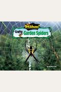 Crafty Garden Spiders
