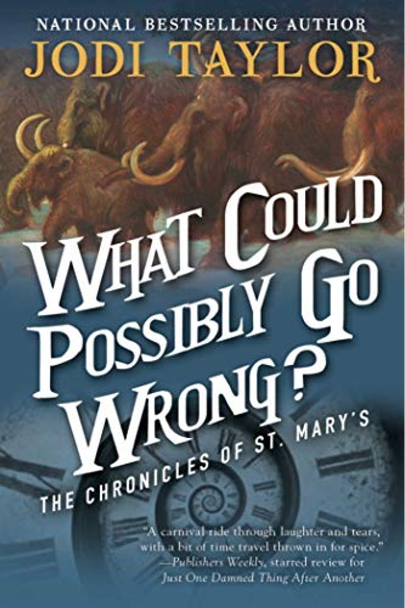 What Could Possibly Go Wrong?: The Chronicles Of St. Mary's Book Six