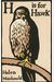 H Is For Hawk