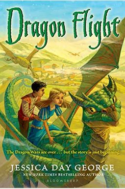 Dragon Flight Dragon Slippers Dragon Flight Dragon Slippers