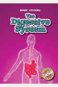 The Digestive System
