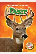 Deer (Blastoff! Readers: Backyard Wildlife) (Blastoff! Readers: Backyard Wildlife: Level 1 (Library))