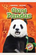Giant Pandas