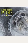 A Seal Named Patches