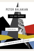 Vise And Shadow: Essays On The Lyric Imagination, Poetry, Art, And Culture