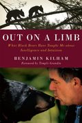 In The Company Of Bears: What Black Bears Have Taught Me About Intelligence And Intuition