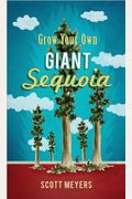 Grow Your Own Giant Sequoia