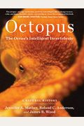 Octopus: The Ocean's Intelligent Invertebrate