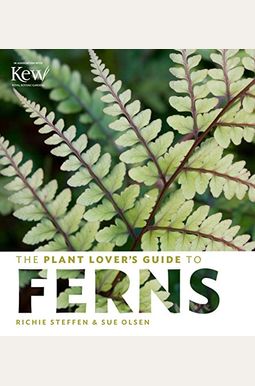 The Plant Lover's Guide To Ferns The Plant Lover's Guide To Ferns
