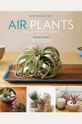 Air Plants: The Curious World Of Tillandsias