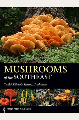 Mushrooms Of The Southeast Mushrooms Of The Southeast