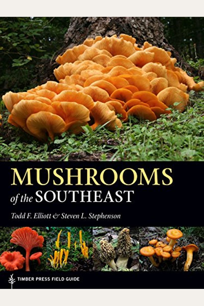 Mushrooms Of The Southeast