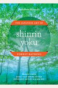 Shinrin Yoku: The Japanese Art Of Forest Bathing