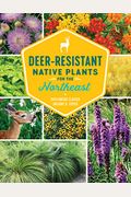 Deer-Resistant Native Plants For The Northeast