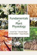 Fundamentals Of Plant Physiology