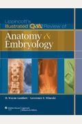 Lippincott's Illustrated Q&A Review Of Anatomy And Embryology