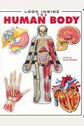Look Inside The Human Body