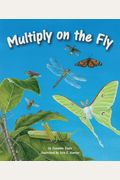 Multiply On The Fly